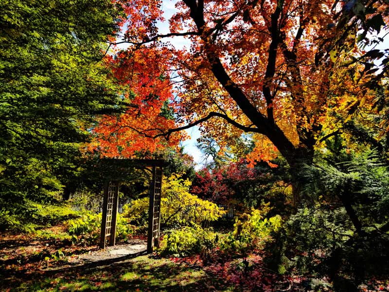 George L. Luthy Memorial Botanical Garden