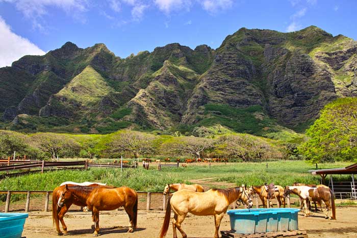 Kualoa Ranch