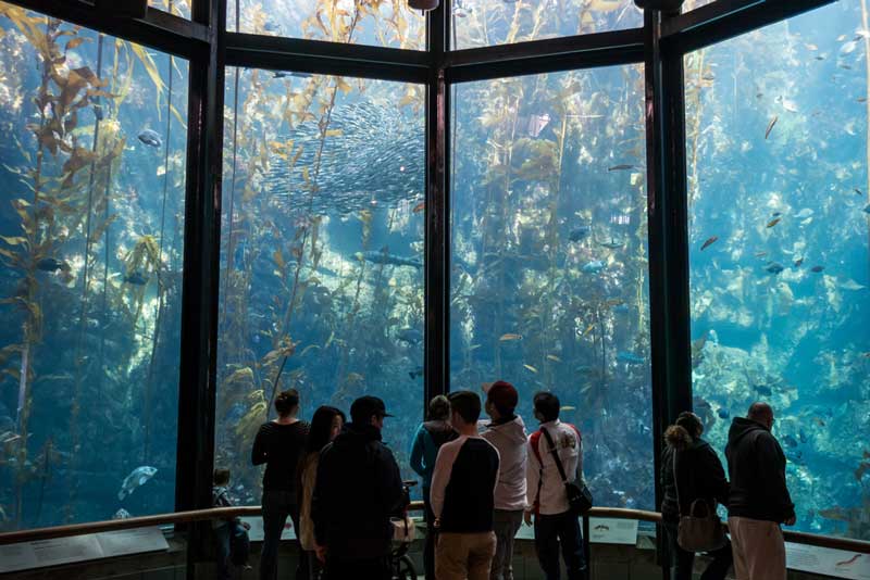 Monterey Bay Aquarium