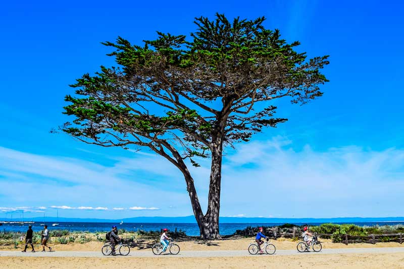 Monterey Bay Coastal Recreational Trail