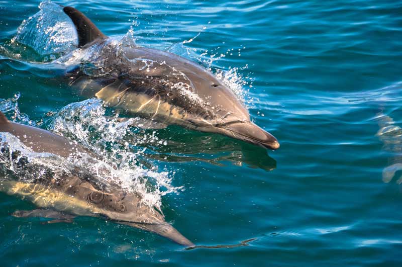 Monterey Bay National Marine Sanctuary