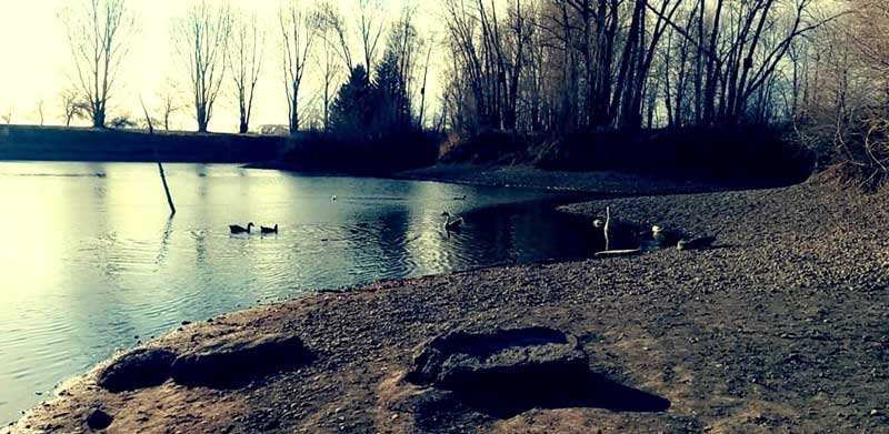 Rexburg Nature Park