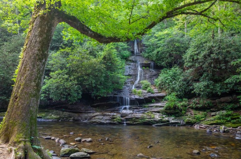 25 Best & Fun Things to Do in Blairsville (GA) The Tourist Checklist