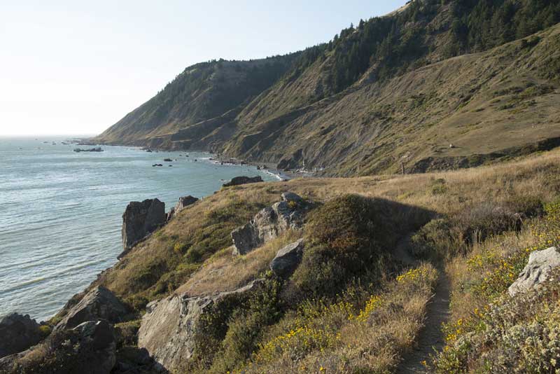 Lost Coast Trail