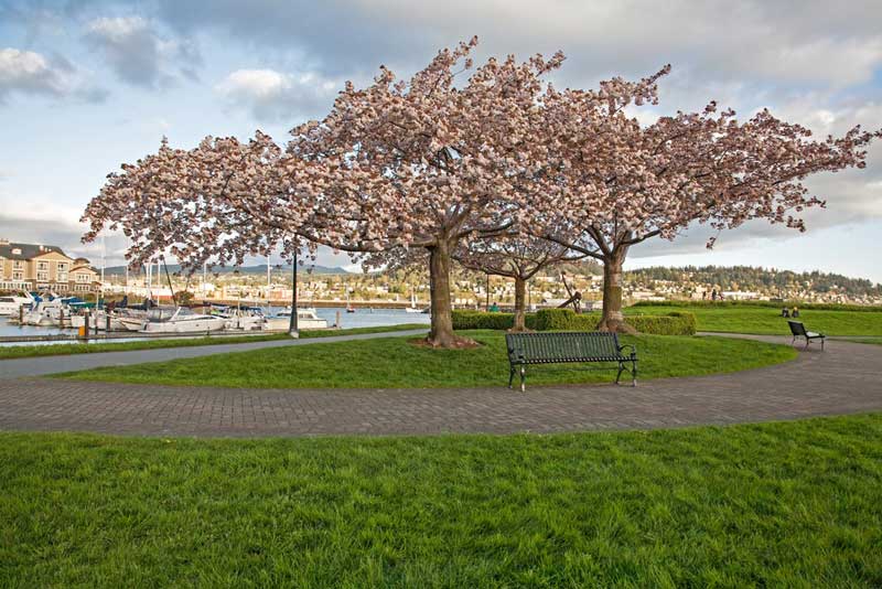 Zuanich Point Park 