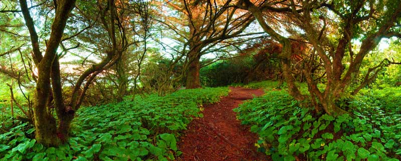 Chetco Point Park