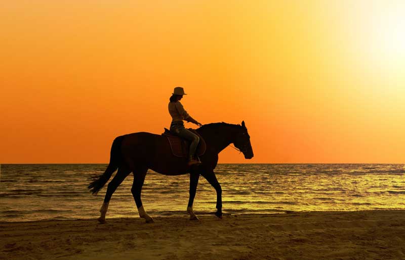 Horseback or Camelback Riding
