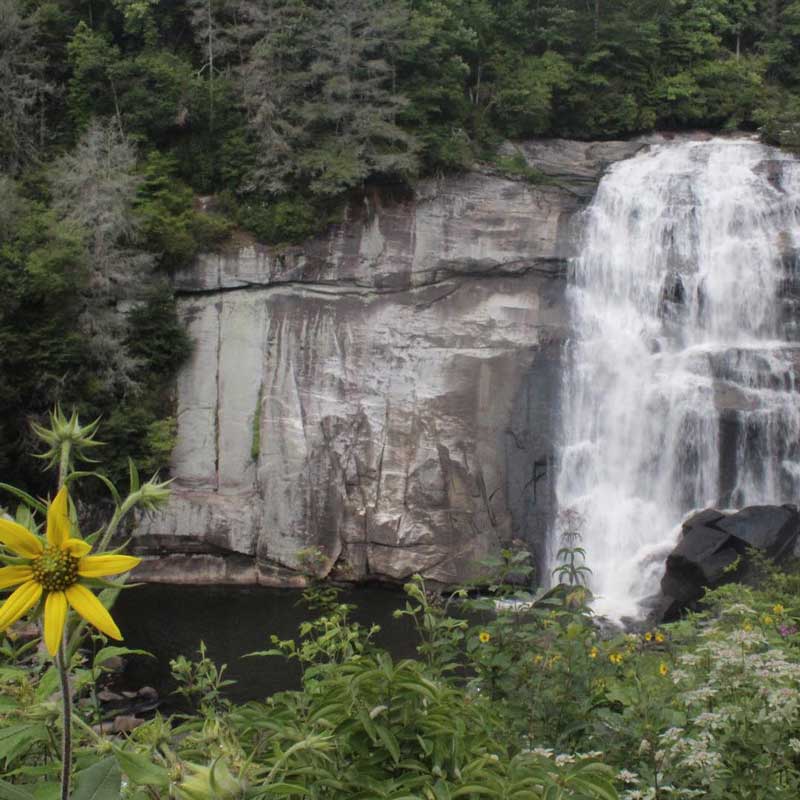 Gorges State Park