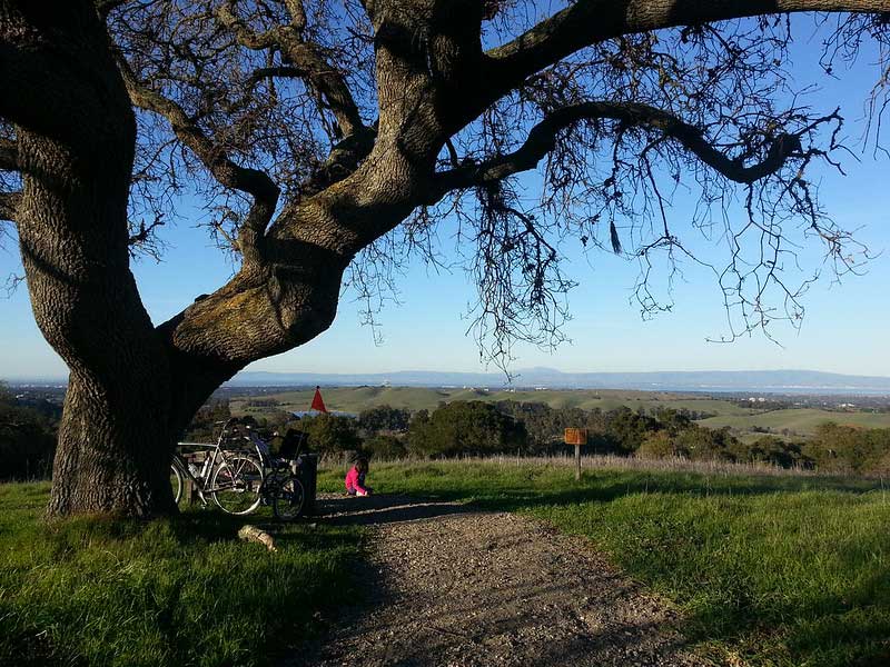 Pearson-Arastradero Preserve