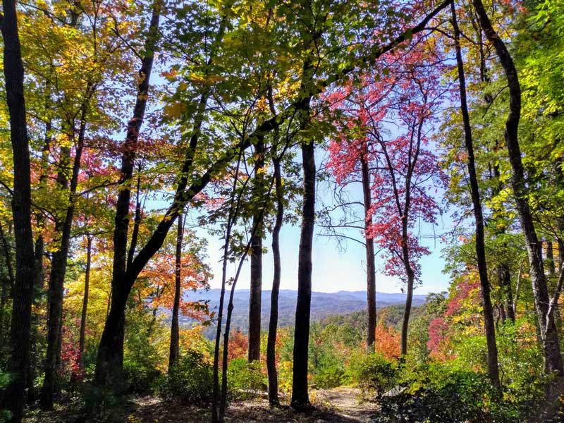 Pisgah National Forest