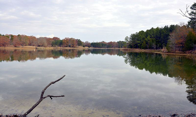 Trace State Park 