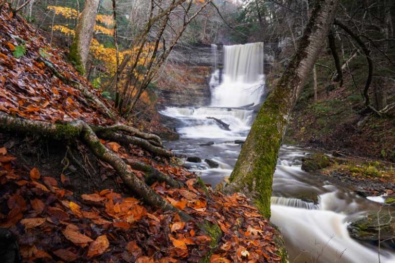 25 Best & Fun Things to Do in Skaneateles (NY) The Tourist Checklist