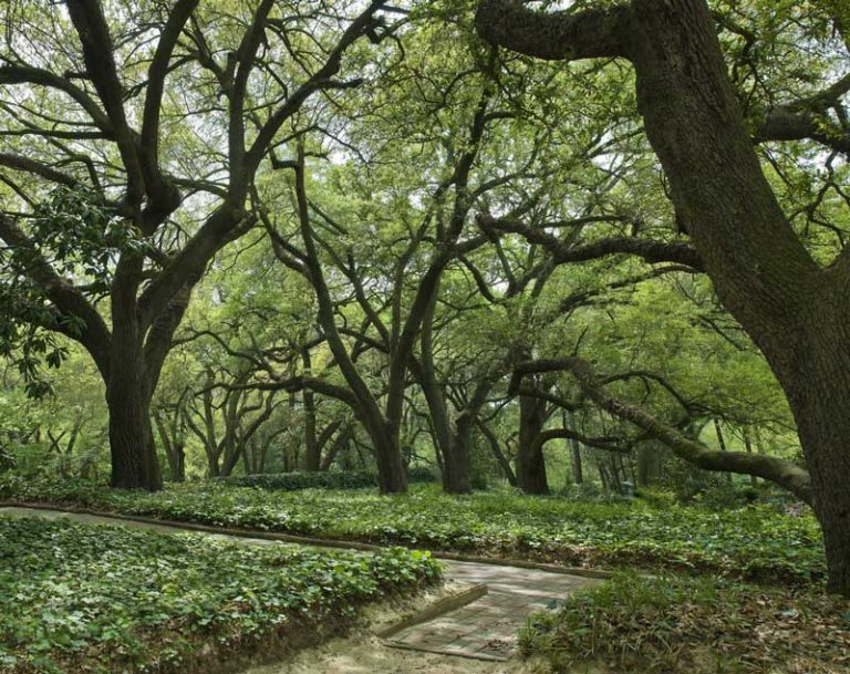 26 Best & Fun Things to Do in Aiken (SC) The Tourist Checklist