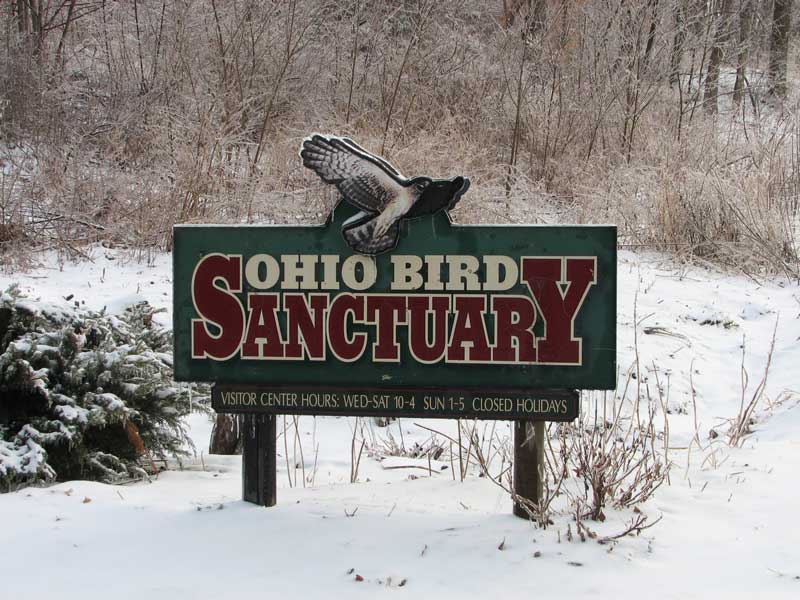 Ohio Bird Sanctuary