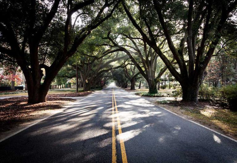 26 Best & Fun Things to Do in Aiken (SC) - The Tourist Checklist