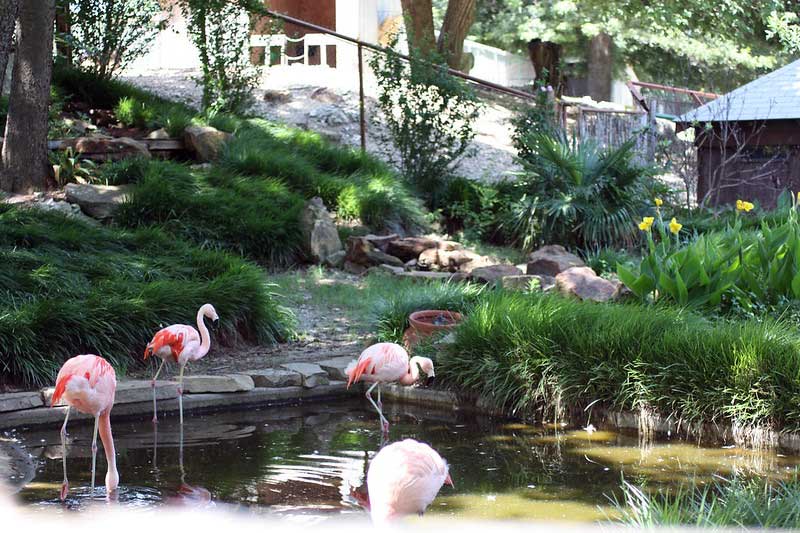 Frank Buck Zoo Gainesville