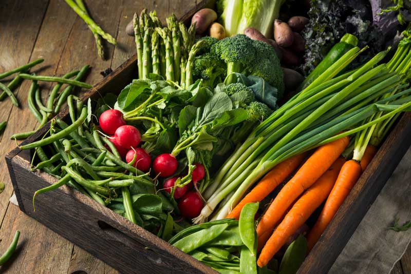 Oak Park Farmers’ Market