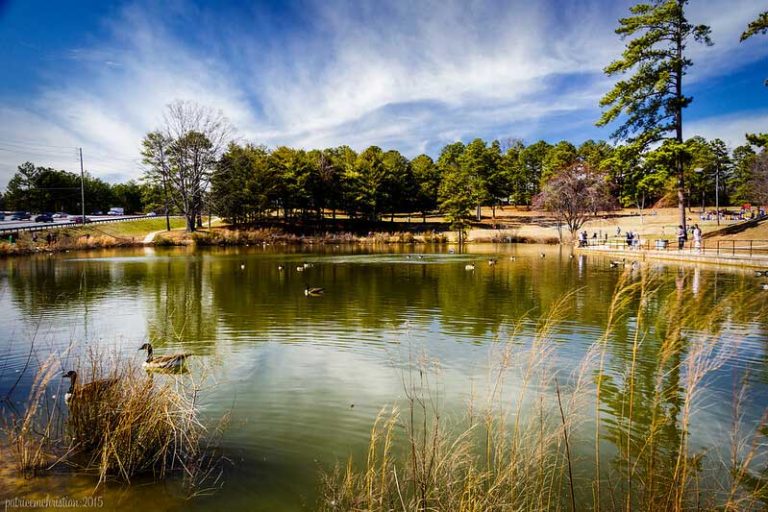 25 Best & Fun Things to Do in Duluth (GA) The Tourist Checklist