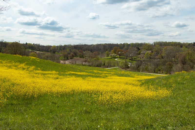 Stroud Preserve