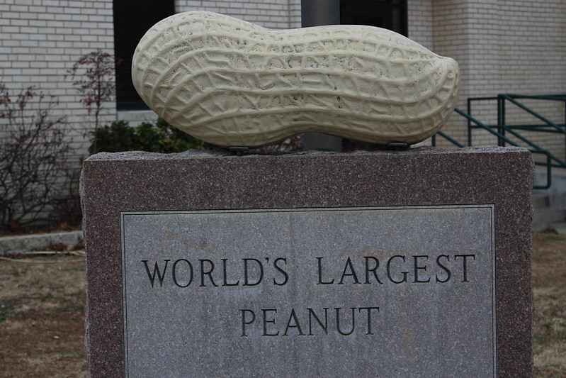 World’s Largest Peanut