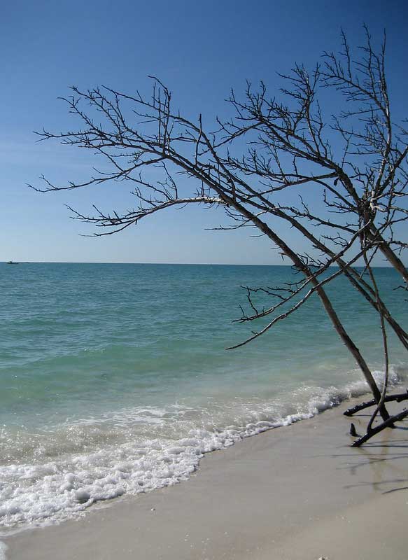 Barefoot Beach Preserve