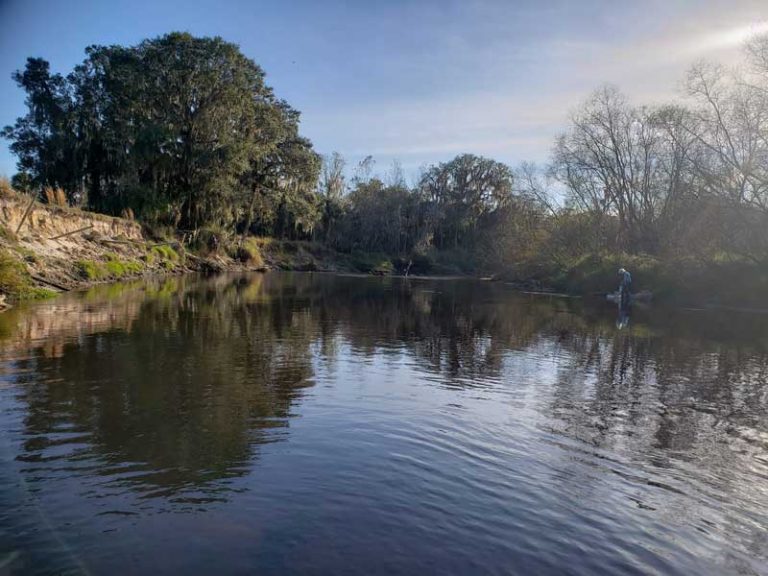 25 Best & Fun Things to Do in Davenport (FL) The Tourist Checklist