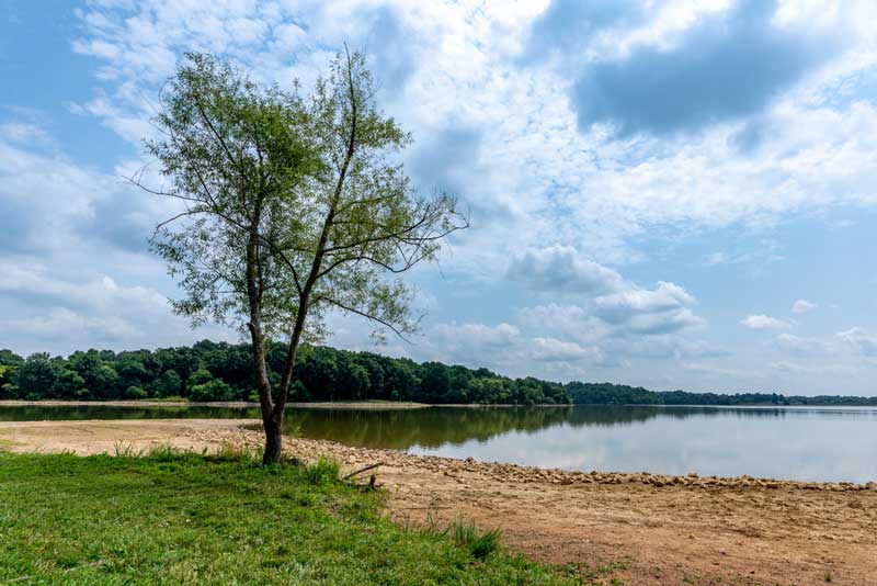 Freeman Lake Park