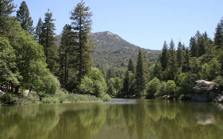 27 Best & Fun Things to Do in Idyllwild (CA) - The Tourist Checklist