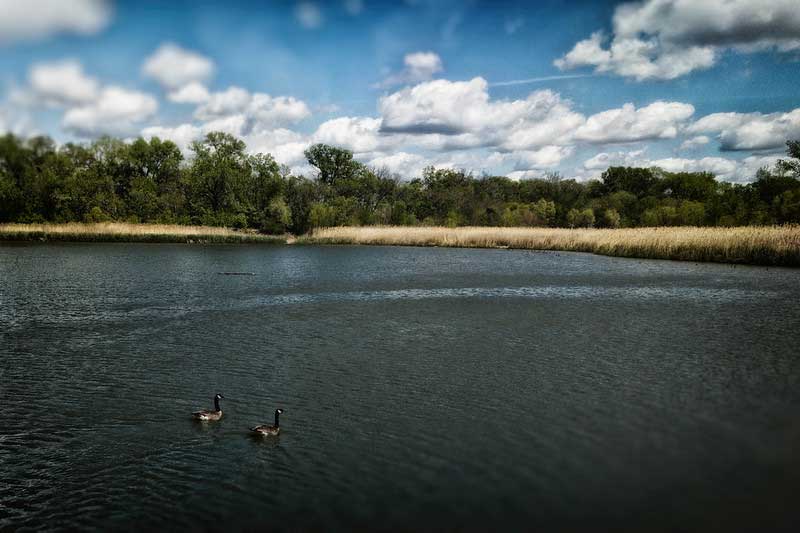 Lakewood Park