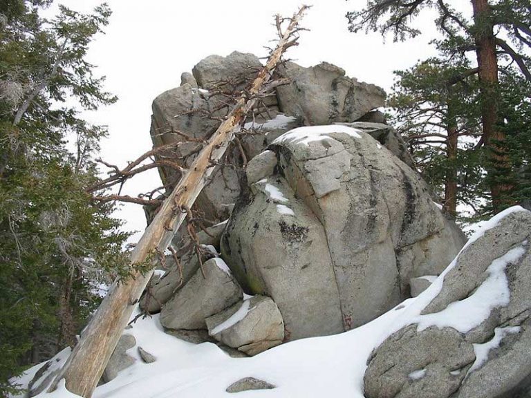 27 Best & Fun Things to Do in Idyllwild (CA) - The Tourist Checklist