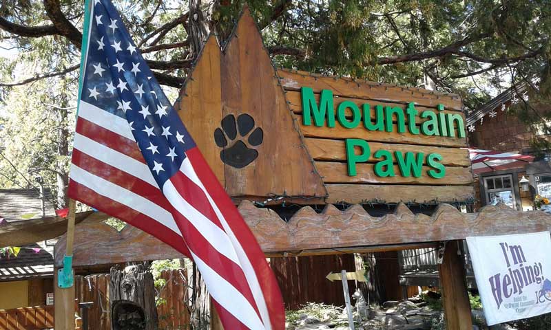 Mountain Paws Pet Boutique
