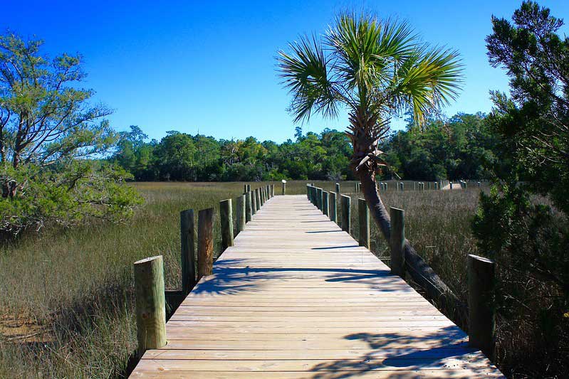 Palmetto Islands County Park