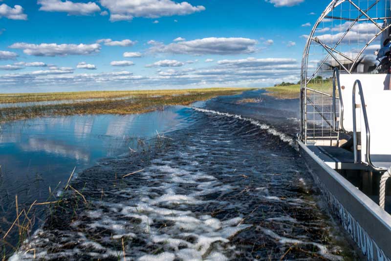 Blackwater Airboat Tours