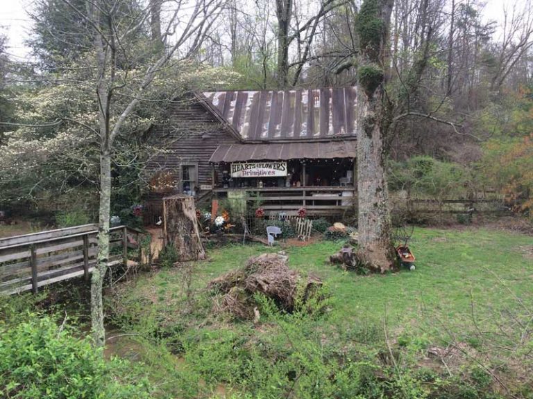 25 Best & Fun Things to Do in Cleveland (GA) - The Tourist Checklist