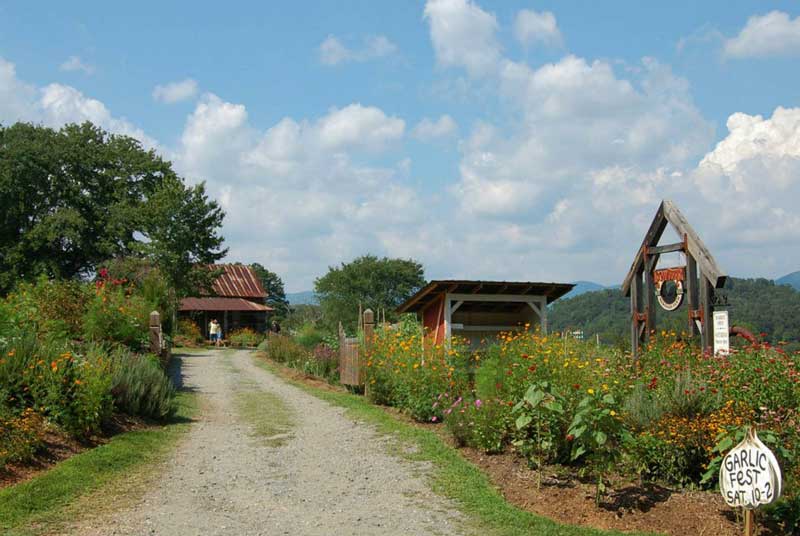 LoganBerry Heritage Farm