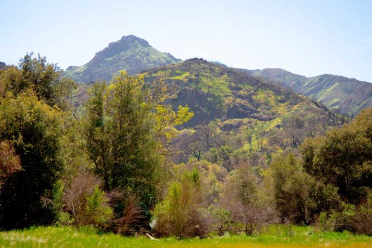 25 Best & Fun Things to Do in Calabasas (CA) The Tourist Checklist
