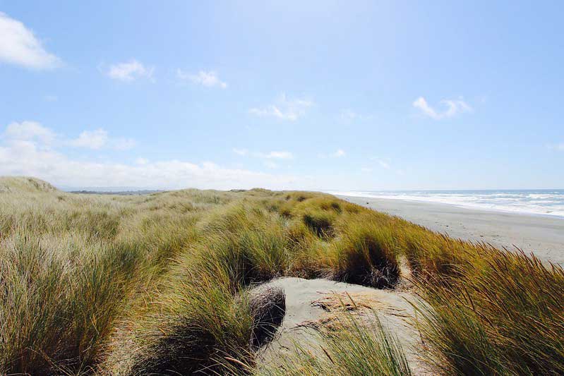 Tolowa Dunes State Park