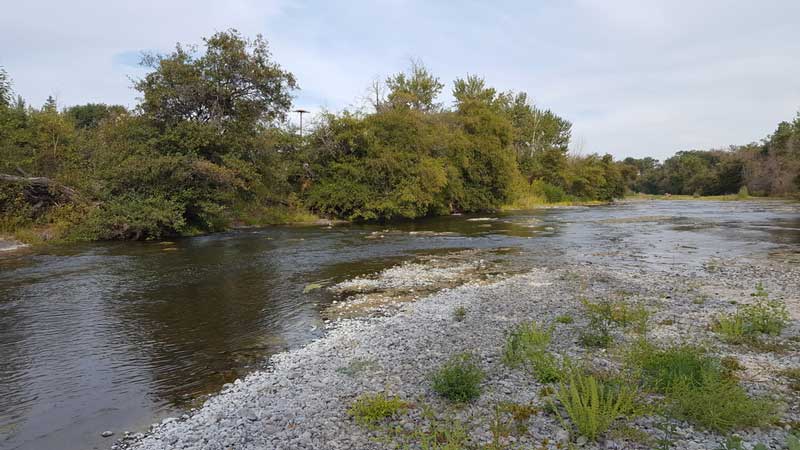 Umatilla River