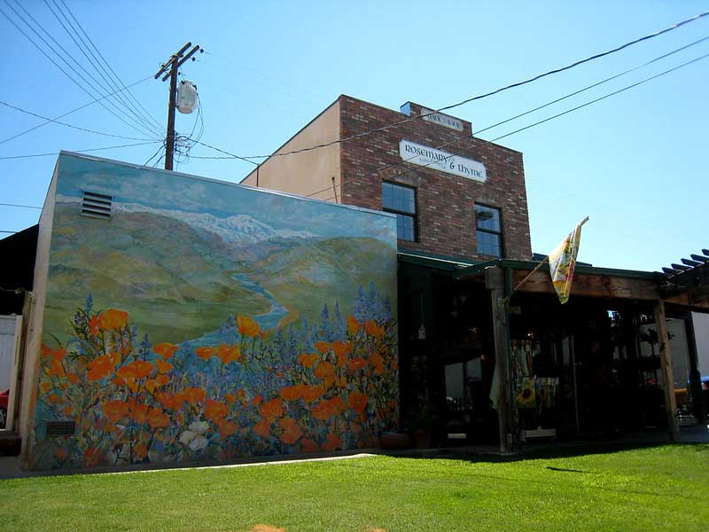 Visalia Downtown Murals