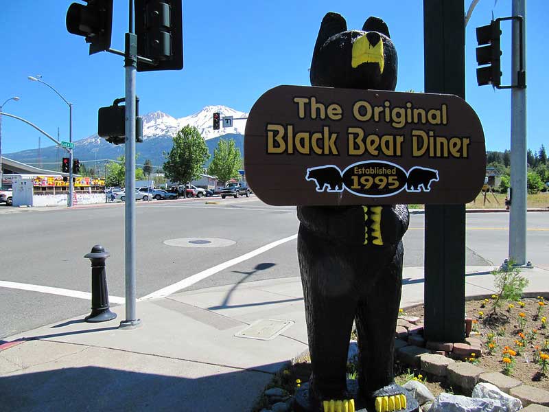 Black Bear Diner