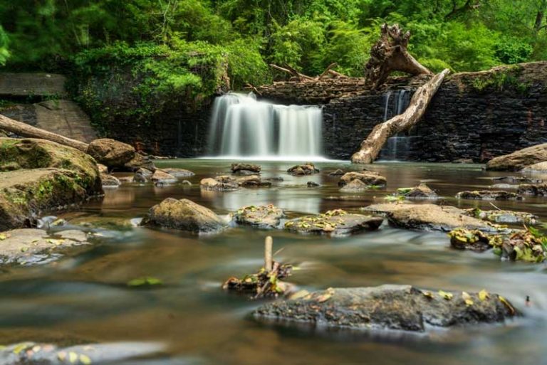 25 Best Fun Things To Do In Lawrenceville GA The Tourist Checklist