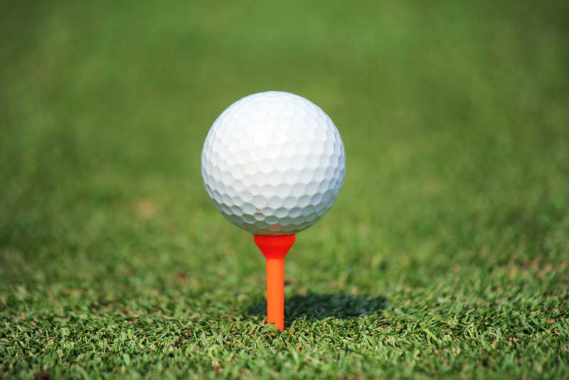 Hilton Head National Golf Club