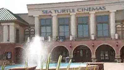 Sea turtle cinemas