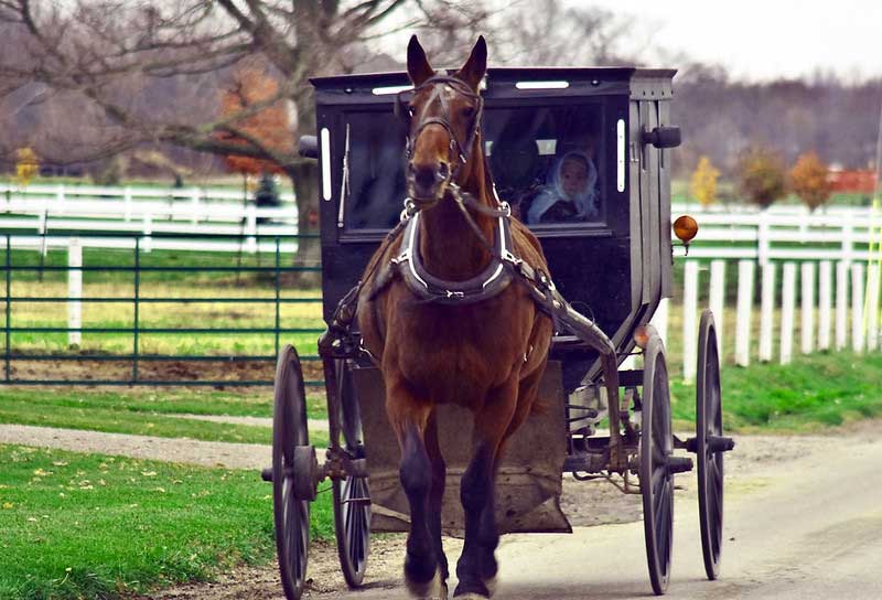 The Amish Village Guided Tours