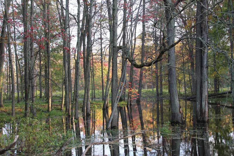 Audubon Community Nature Center