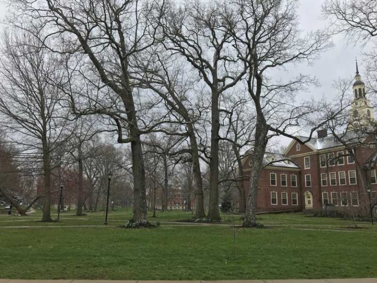 26 Best & Fun Things to Do in Berea (KY) The Tourist Checklist