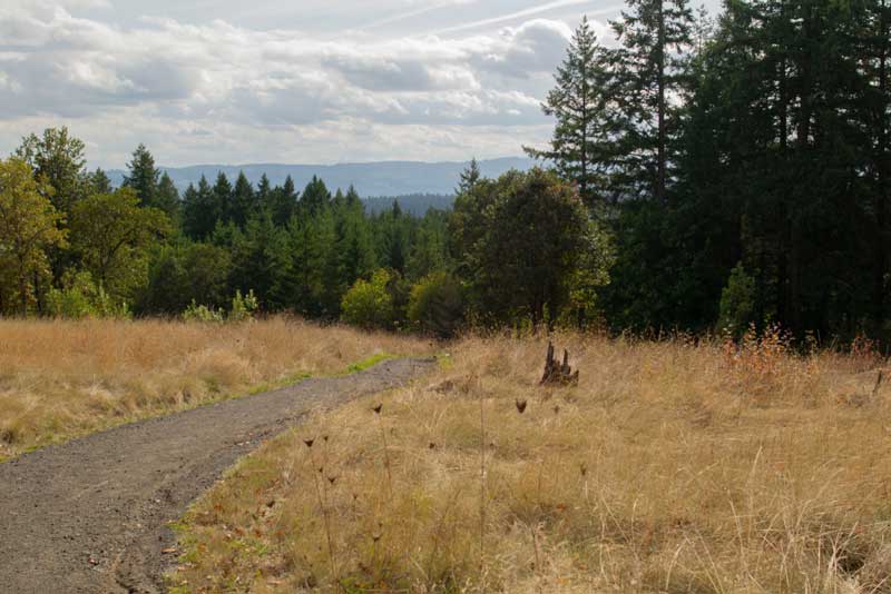 Cooper Mountain Nature Park