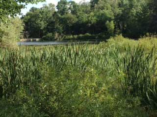 Lime Hollow Nature Center for Environment and Culture