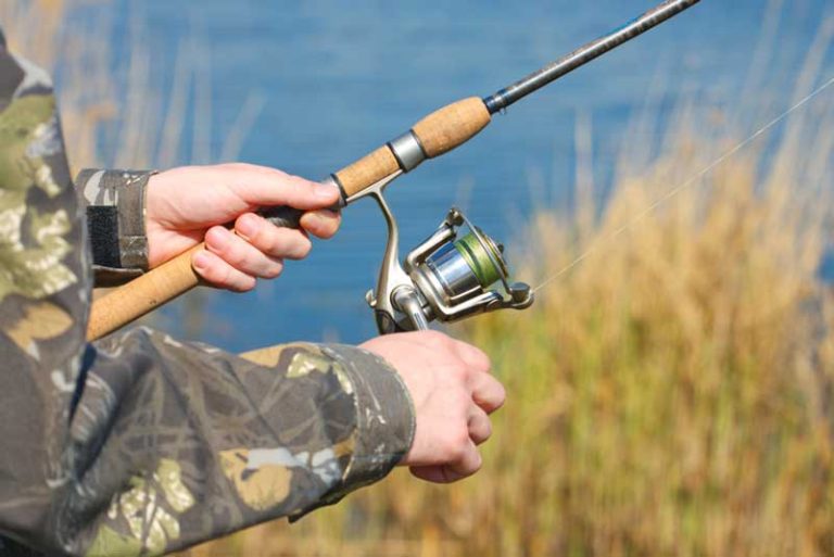 26 Best & Fun Things to Do in Martinsburg (WV) - The Tourist Checklist