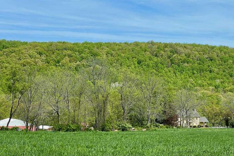 26 Best & Fun Things to Do in Morristown (NJ) The Tourist Checklist